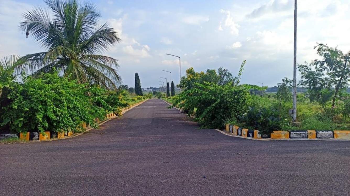  natures habitat Internal Roads
