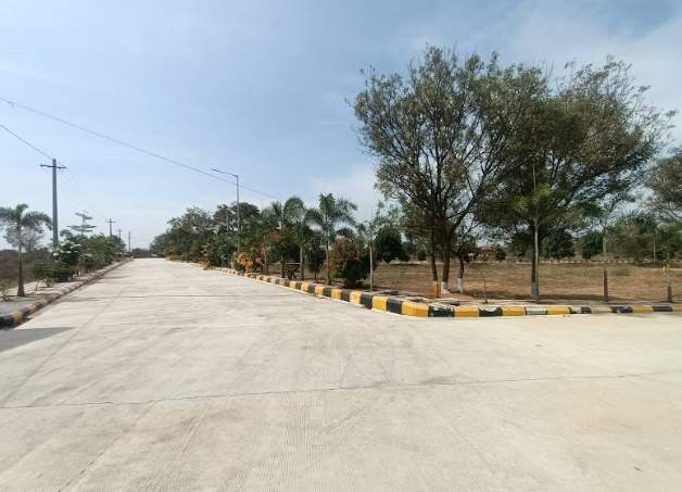  natures habitat Internal Roads