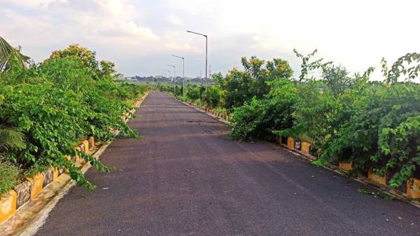  natures-habitat Internal Roads & Footpaths