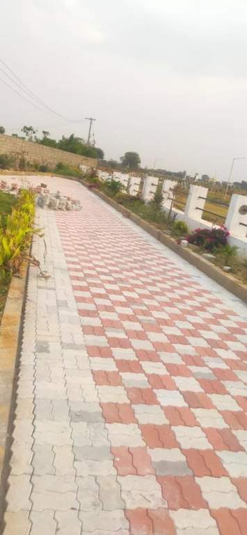  natures habitat Plot