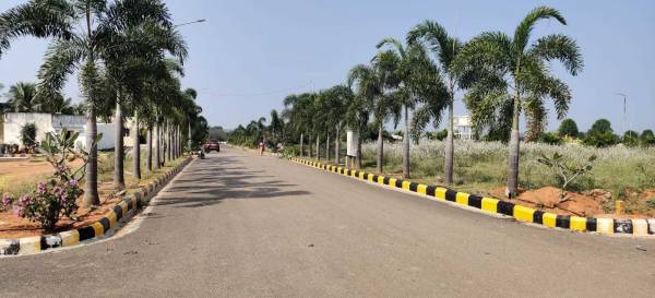  natures-habitat Plot