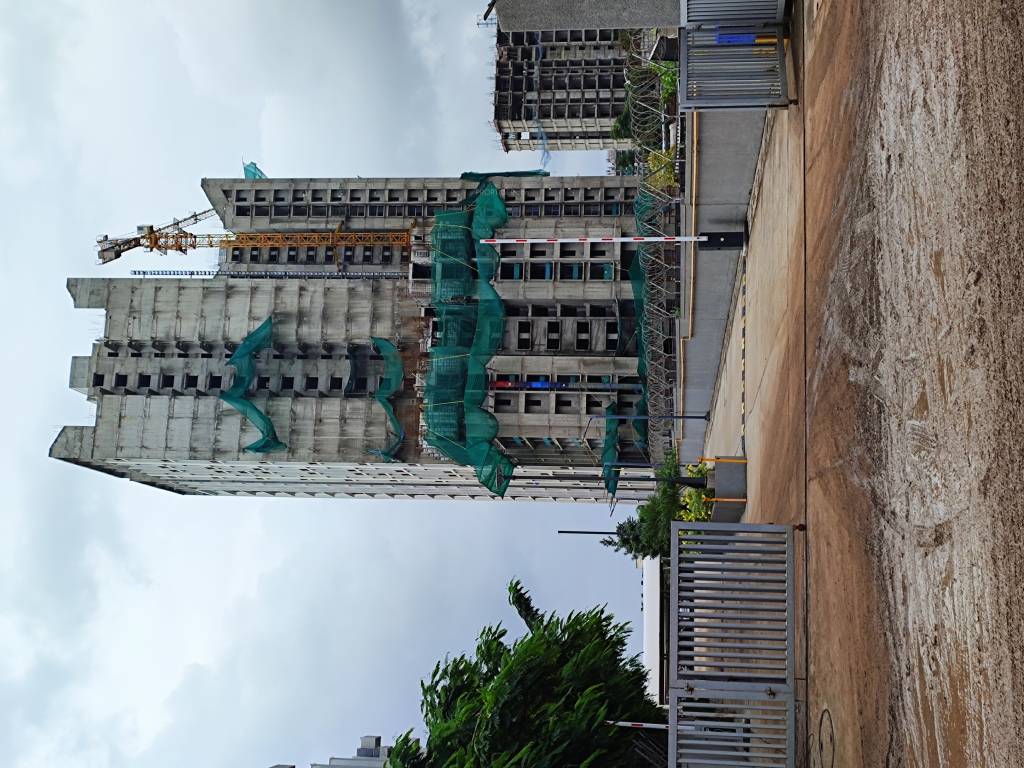  codename wonderland Construction Status Jan 25