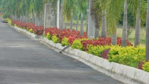  nandana-green-avenues Landscape Garden and Tree Planting