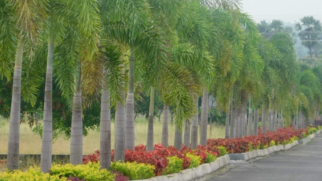  nandana green avenues Landscape Garden and Tree Planting