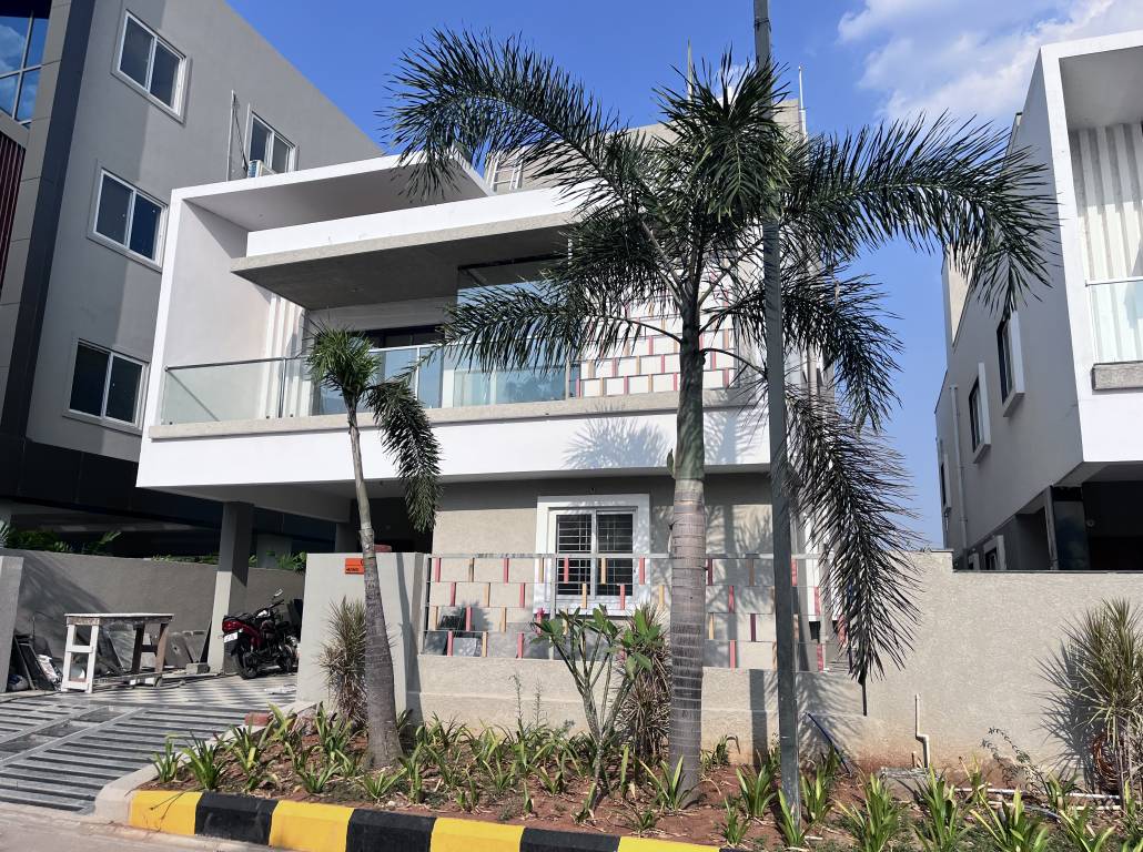  supra avenue Elevation