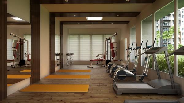 Gymnasium bluets-phase-6 Gymnasium