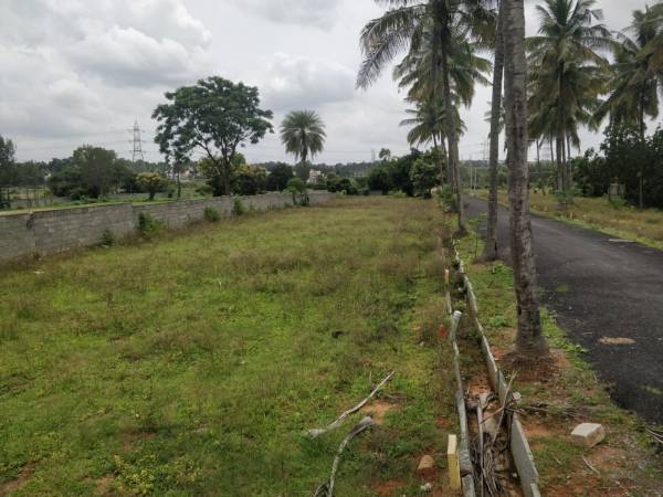  sri-sai-royal-meadows Elevation