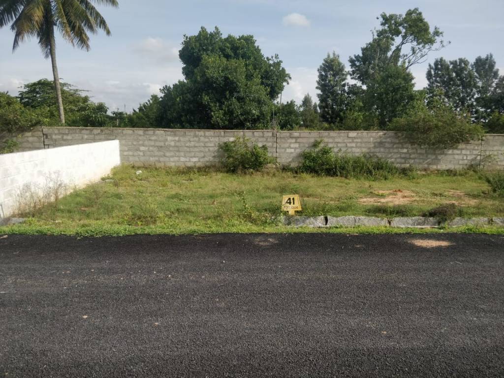  sri sai royal meadows Internal Roads