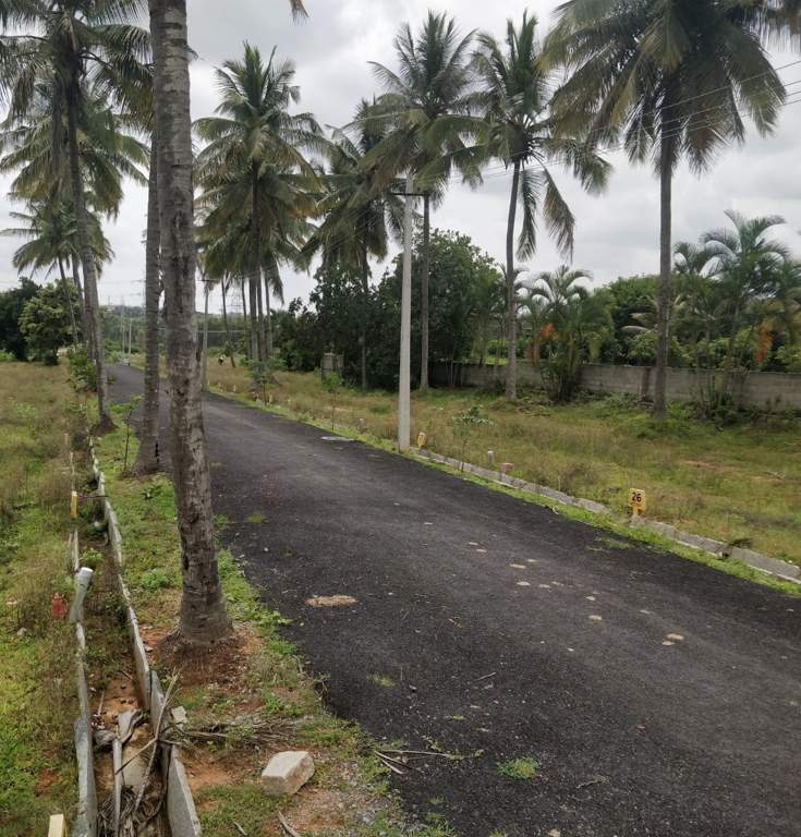  sri sai royal meadows Internal Roads
