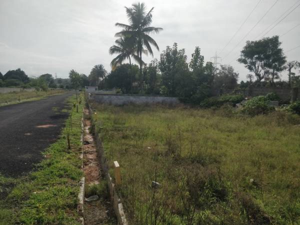  sri-sai-royal-meadows Plot