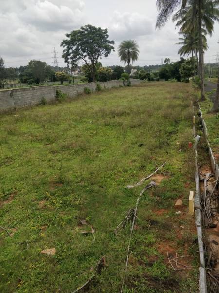  sri-sai-royal-meadows Plot