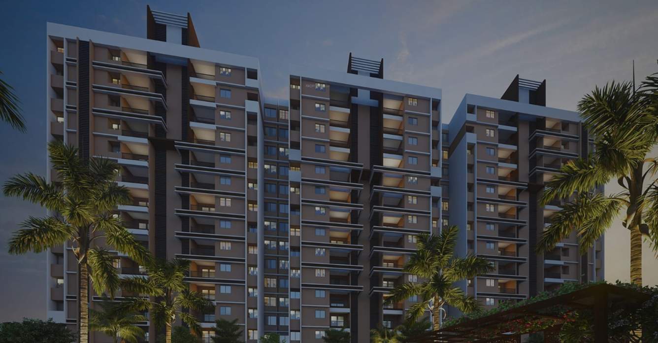  vision exotica Elevation