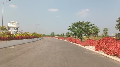  mypi-lush-green Landscaped Gardens