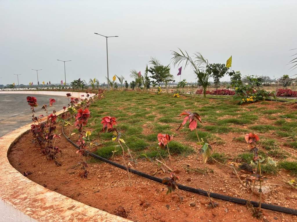  mypi lush green Plot