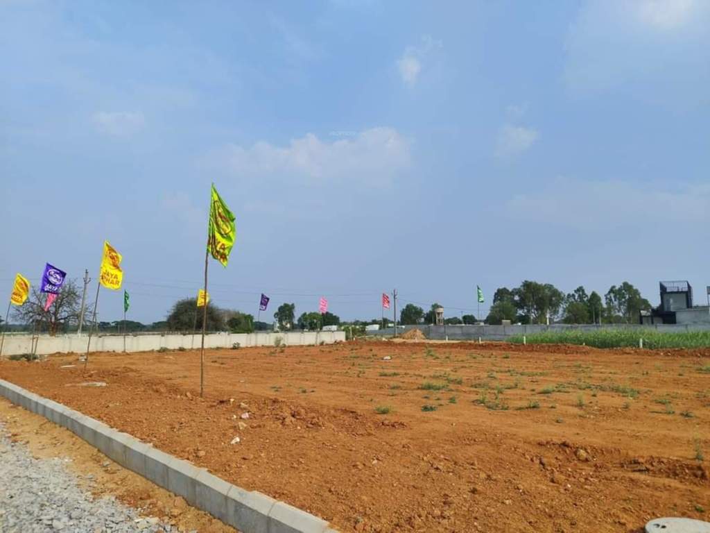  mypi lush green Plot