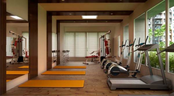  bluets-phase-5 Gymnasium