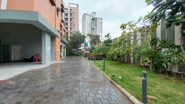  montage Paved Compound