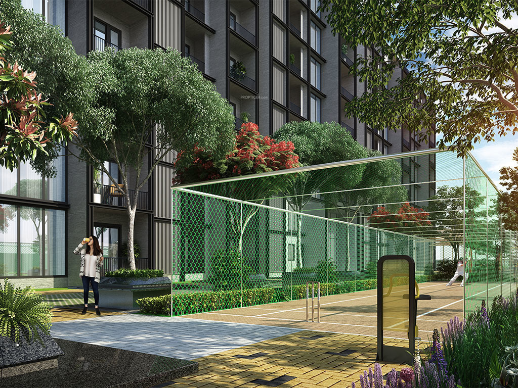 orlena Cricket Pitch