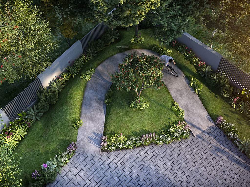 orlena Landscape Garden and Tree Planting