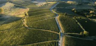 Project Image Project Image