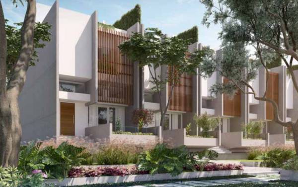 Elevation leaves-and-lives-phase-2 Elevation