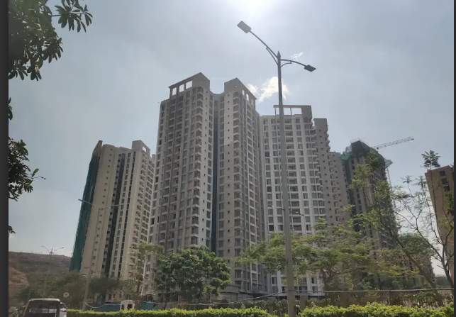  wellington Construction Status May 24