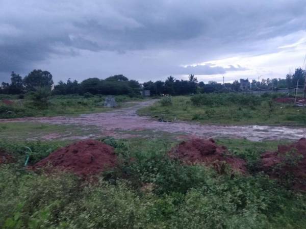 Elevation orchard-avenue Elevation