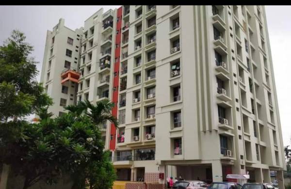  purti-star Elevation