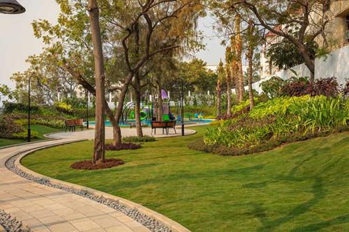  the-ace Landscape Garden and Tree Planting