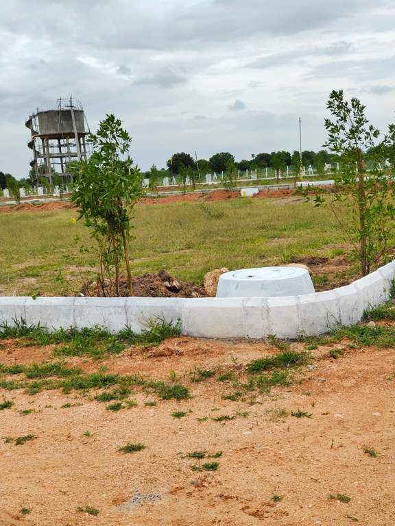  temple city grand Internal Roads