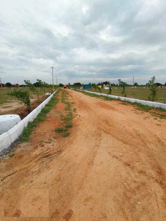  temple city grand Internal Roads