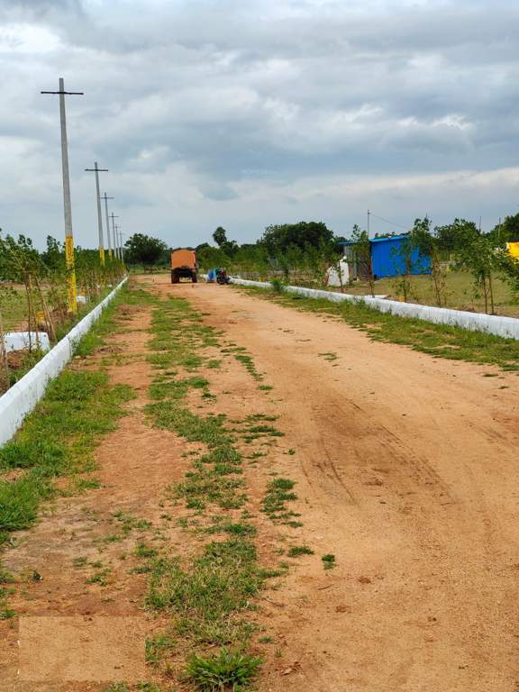  temple city grand Internal Roads