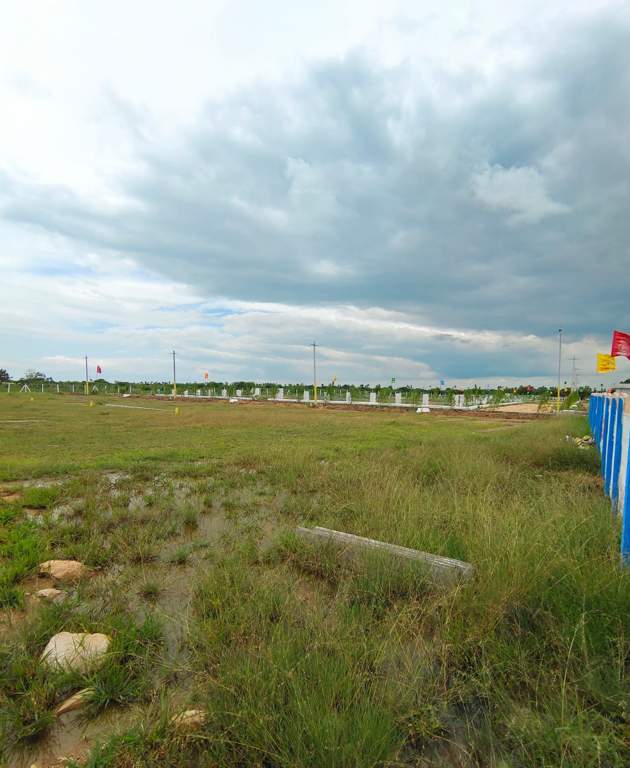  temple city grand Plot