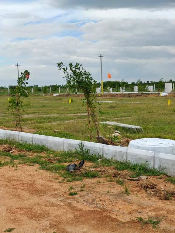  temple city grand Plot