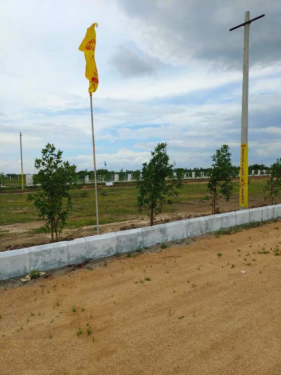  temple city grand Plot