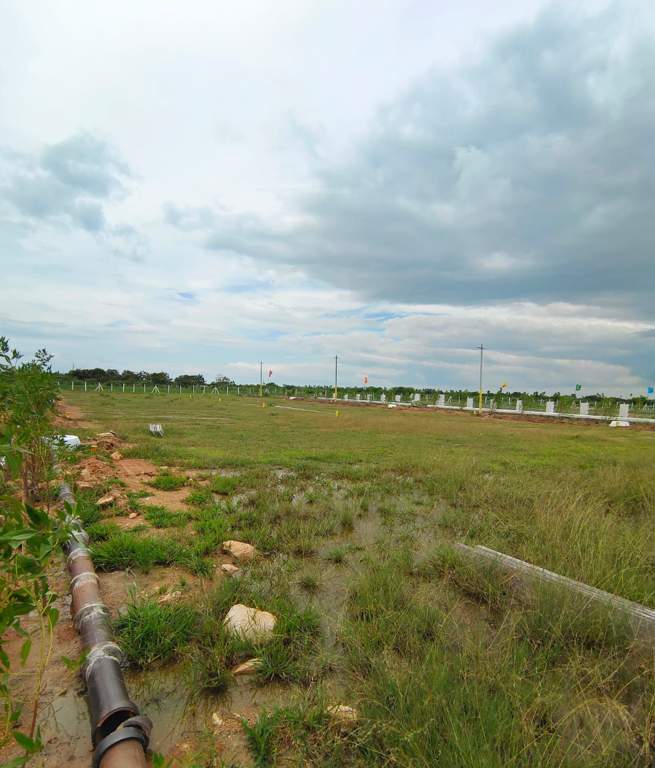  temple city grand Plot