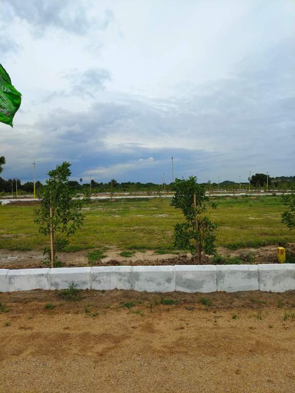  temple city grand Plot