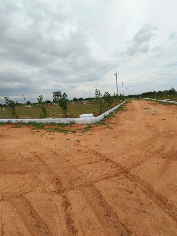  temple city grand Plot