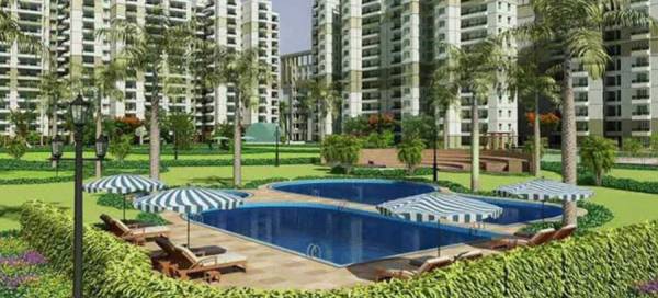  neotown-phase-1 Swimming Pool