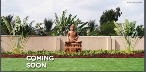  mapple-avvenue Others