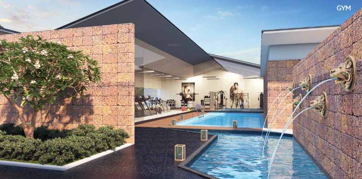  mapple avvenue Others