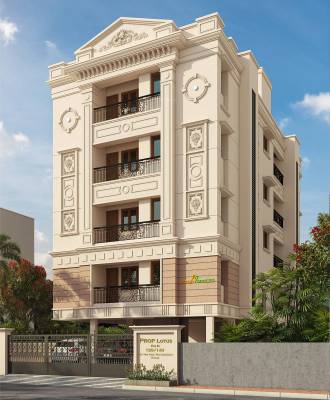 lotus Elevation Elevation