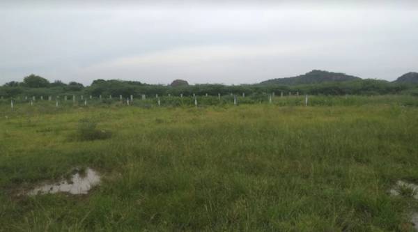  sri-ragavendra-royal Plot