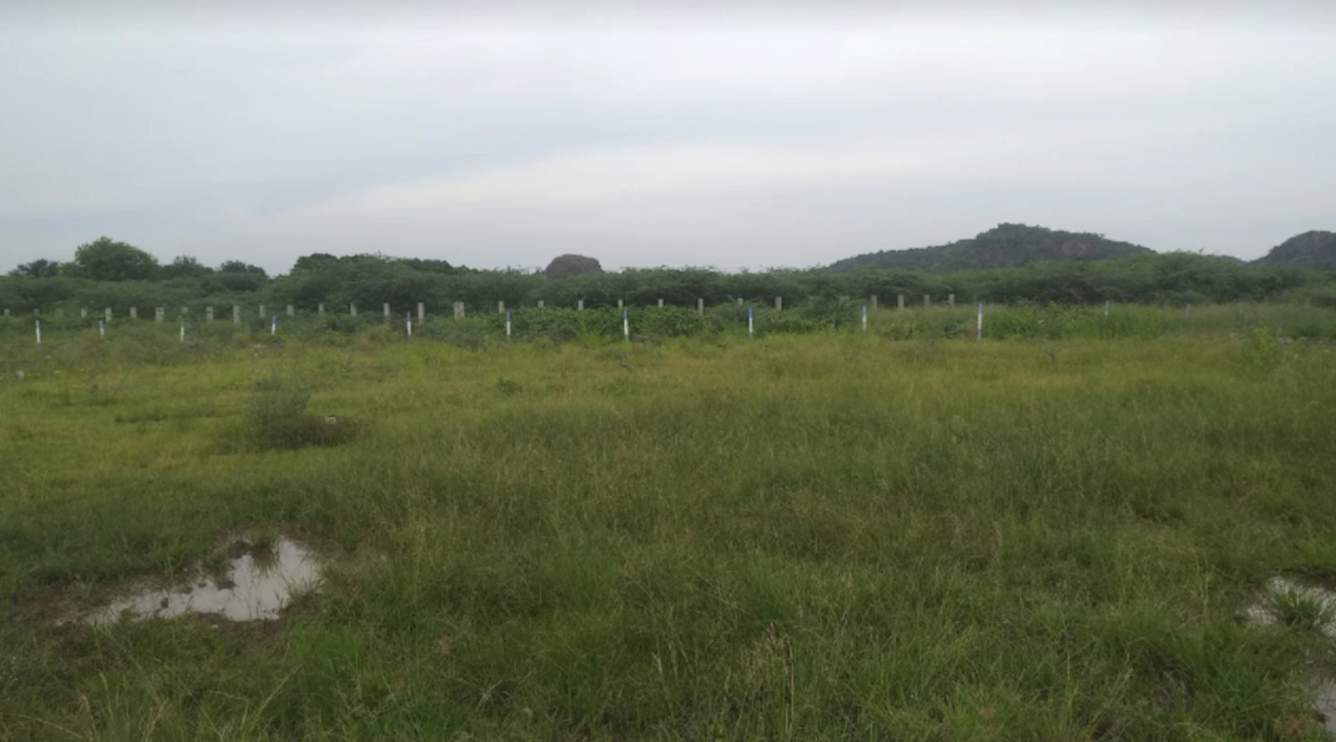  sri ragavendra royal Plot