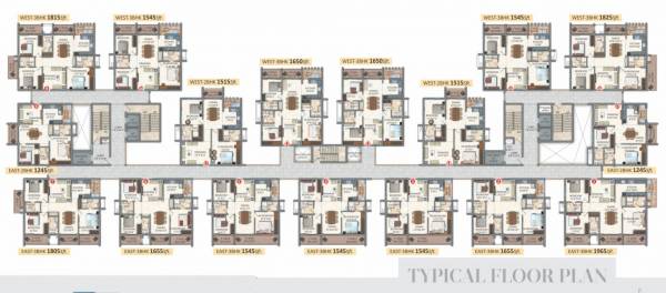  icons-alta-monte Icons Alta Monte Typical Cluster Plan