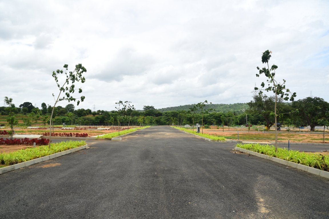  landmark under the tree phase 1 Plot