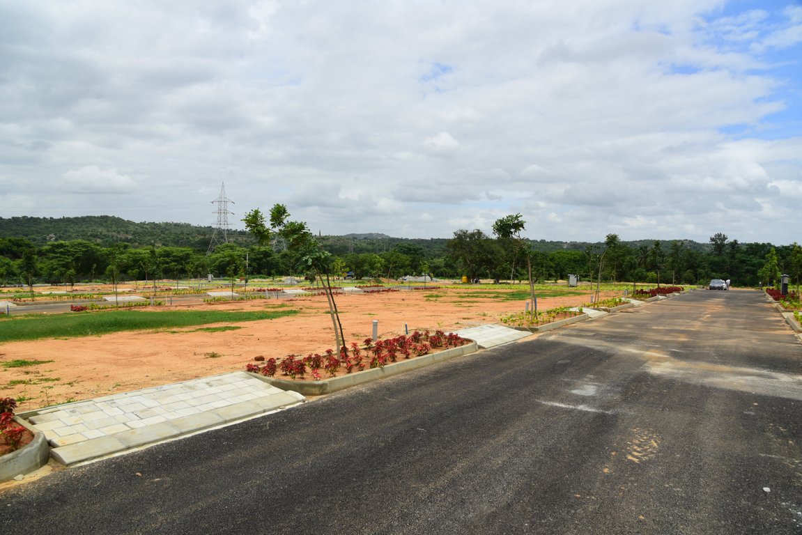  landmark under the tree phase 1 Plot