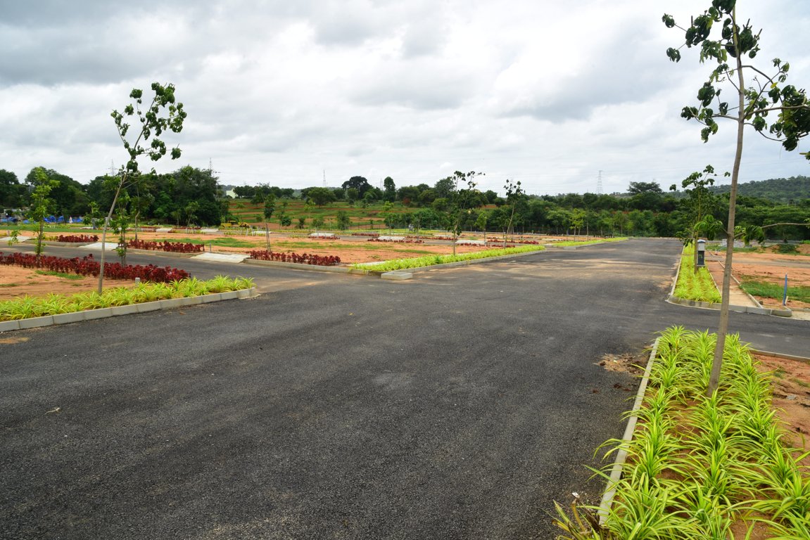  landmark under the tree phase 1 Plot