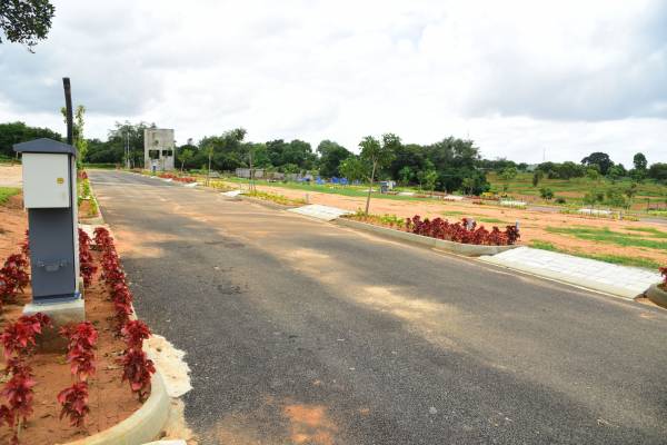 landmark-under-the-tree-phase-1 Plot