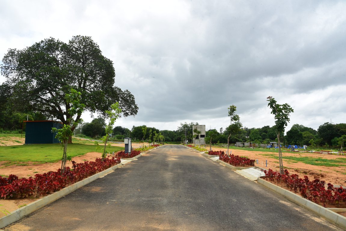  landmark under the tree phase 1 Plot